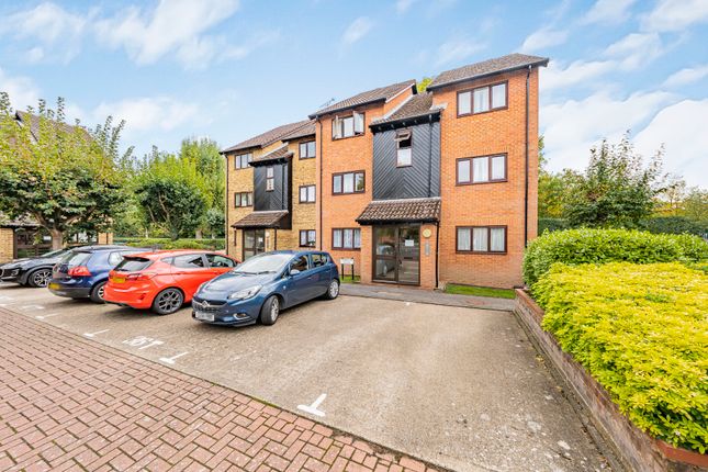 Photo Oct 07 2025, 1 25 08 Pm