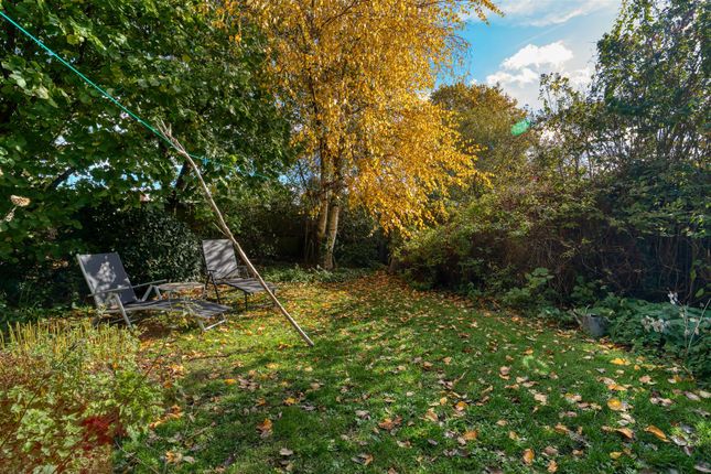 Old Boundary Road, Shaftesbury photo 3