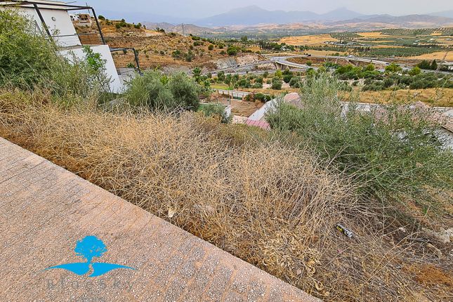 Land for sale in Coin, Malaga, Spain