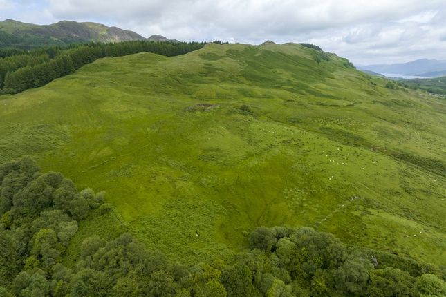 Thumbnail Land for sale in Brenchoille Farm, Furnace, Inveraray