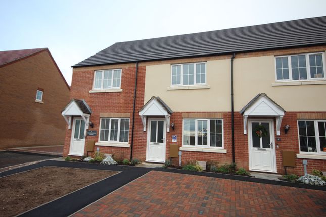 Thumbnail Terraced house for sale in Plot 103 The Holly, Constantine Close, Off Romans Walk