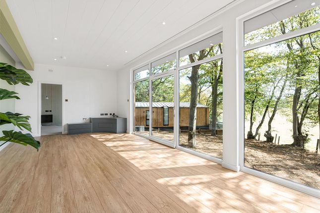 The Curve, Plot 8, Bells Wood, Little Berkhamsted photo 3