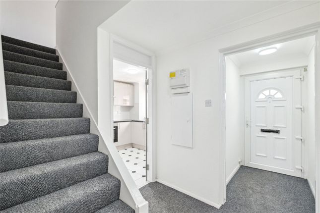 Shirley Street, London photo 5