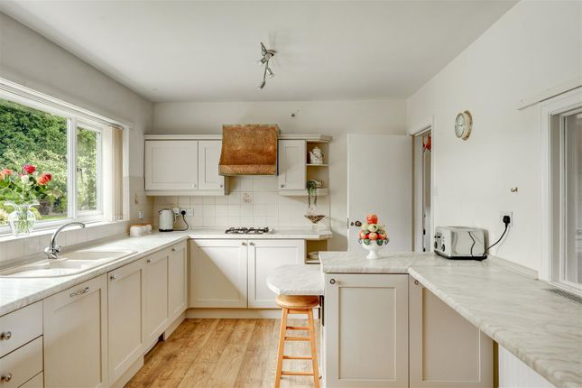 Whinfell Spinney, Penrith photo 3
