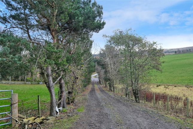 Land for sale in Glass, Huntly, Aberdeenshire