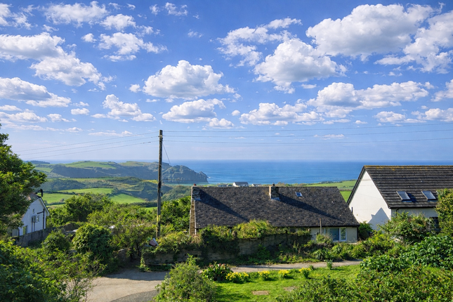 Mordros, Trethevy, Tintagel photo 2