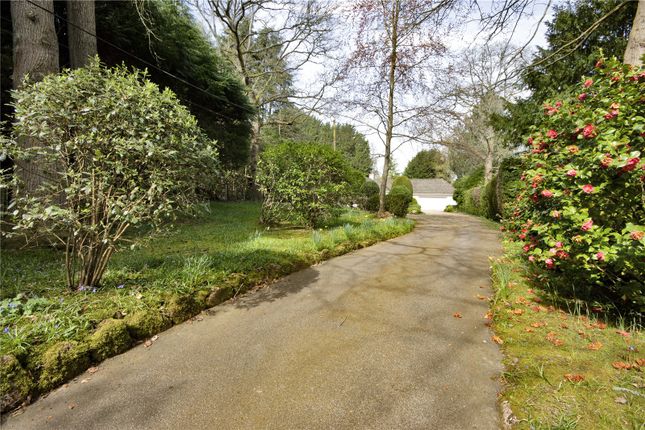 Standish,, Ismays Road, Sevenoaks photo 4