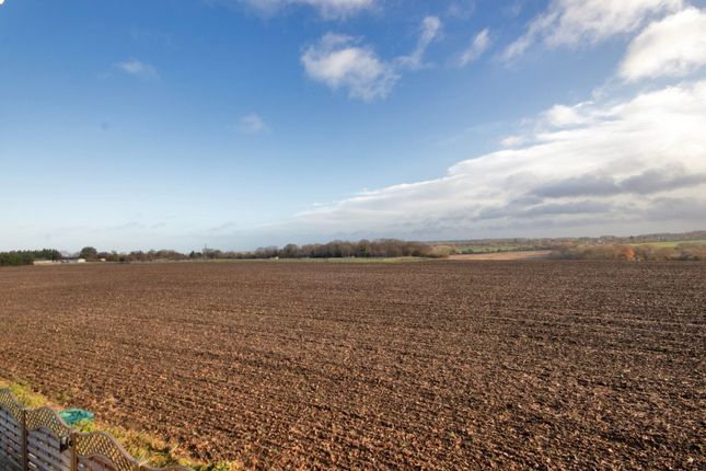 Meadow View, Main Road, Longfield photo 3