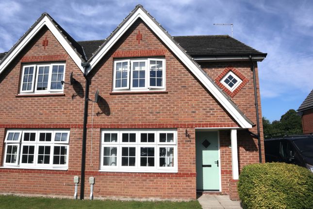 Thumbnail Semi-detached house to rent in Holtby Avenue, Cottingham