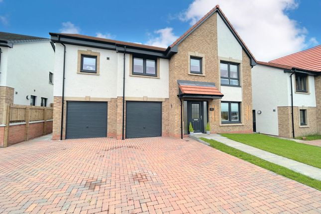 Thumbnail Detached house for sale in Curling Avenue, Airth