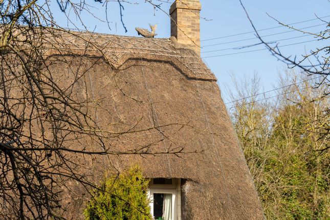 20 Stamford End, Oakham photo 4