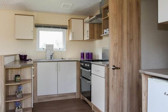 Whitecliff Bay Holiday Park, Hillway Rd, Bembridge photo 5