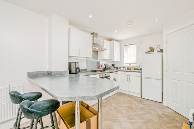6, Potter Street, Cardiff photo 4