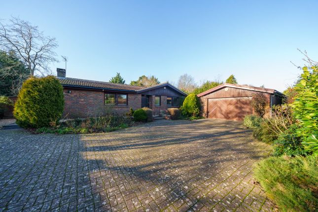 Detached bungalow for sale in Kimbolton Road, Bedford MK41
