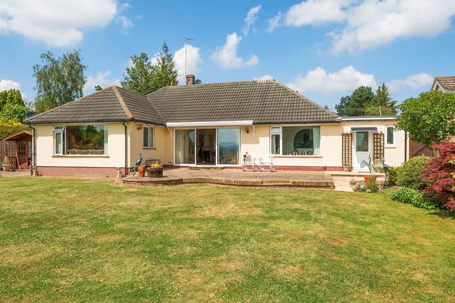 Thumbnail Bungalow for sale in Goosenford, Cheddon Fitzpaine, Taunton