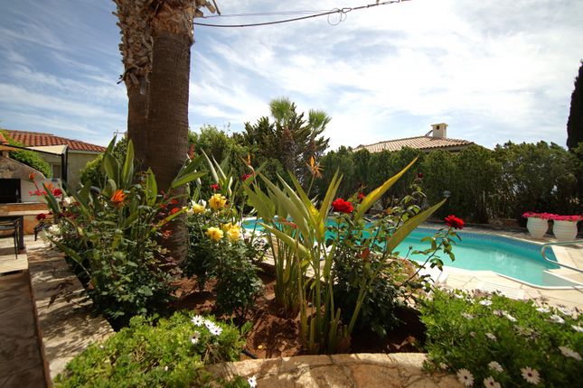 Villa for sale in Detached Villa - Paphos, Tala, Paphos, Cyprus