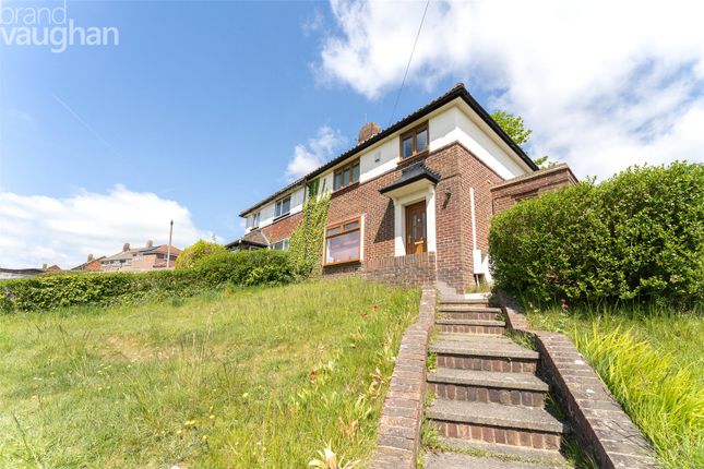 Semi-detached house to rent in Norwich Drive, Brighton