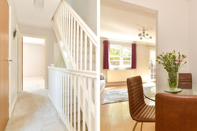 Pavilion Rise, East Hill Road, Ryde photo 3