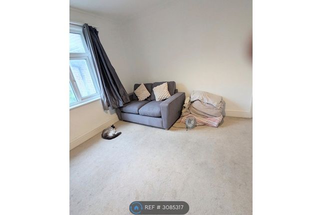 Hove photo 3