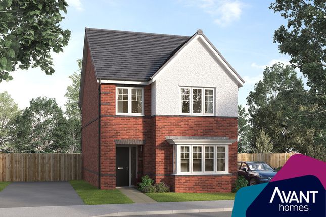 Thumbnail Detached house for sale in "The Mulwood" at Buckthorn Drive, Barton Seagrave, Kettering