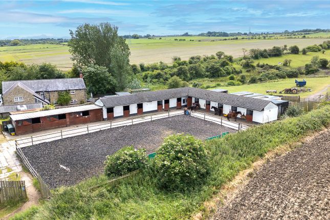 Stables
