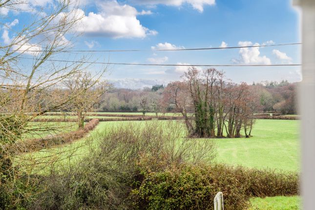 5, Choak Walk, Newton Abbot photo 2