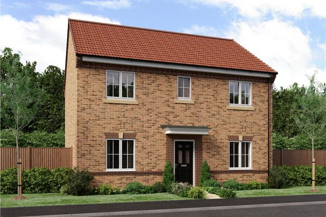 Thumbnail Detached house for sale in "Buchan" at Joe Lane, Catterall, Preston