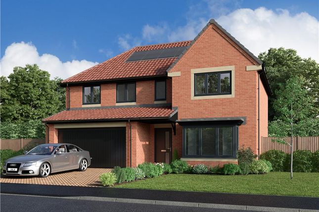 Detached house for sale in "The Beech" at The Ladle, Middlesbrough