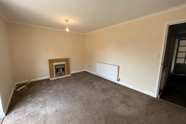 22, Birmingham photo 4