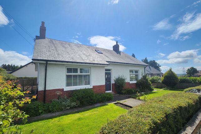 Thumbnail Bungalow for sale in Lanchester Road, Durham