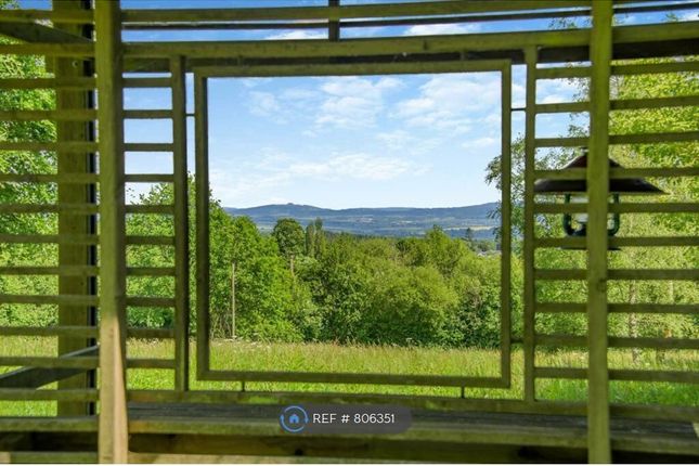 View From The Garden