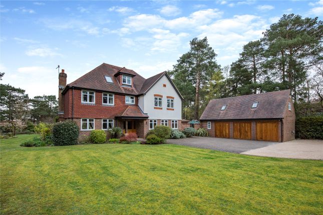 Thumbnail Detached house for sale in Clumps Road, Lower Bourne, Farnham, Surrey