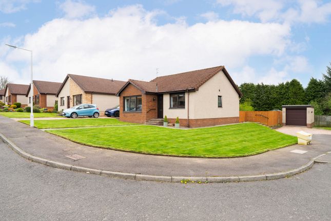 Thumbnail Bungalow for sale in Pennyacre Court, Springfield
