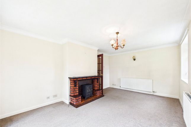 26, Notcutts, Colchester photo 3