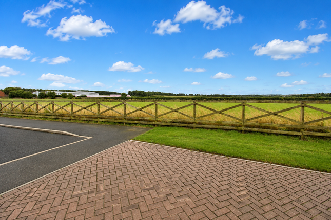 38, St. Nicholas Drive, Bedlington photo 4