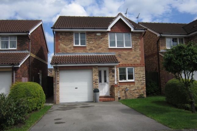 Thumbnail Detached house to rent in Roundhill Court, Lakeside, Doncaster