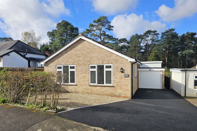 Thumbnail Bungalow for sale in Hindhead, Surrey