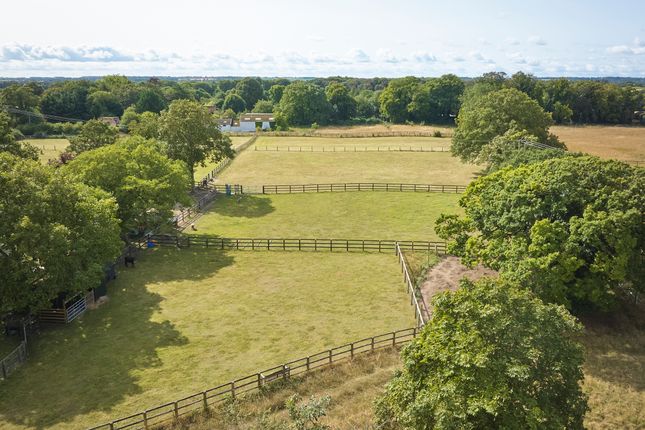 White House Stud, Warren Road, Newmarket photo 3