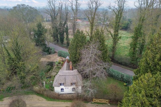 The Lodge, Tyrells Hall, Hertfordshire photo 4