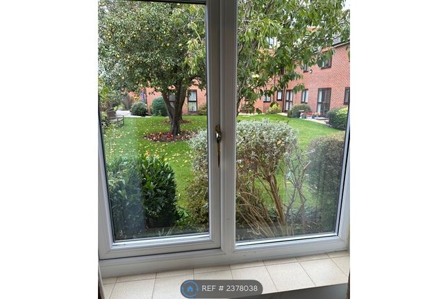 Lounge Overlooks Garden With Fruit Trees