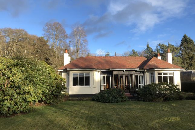 Thumbnail Bungalow for sale in Beechgrove, Parkhead Road, Perthshire