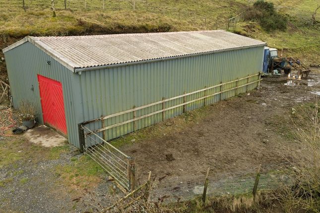 Tanfforest, Sarn Helen, Cellan, Lampeter photo 2