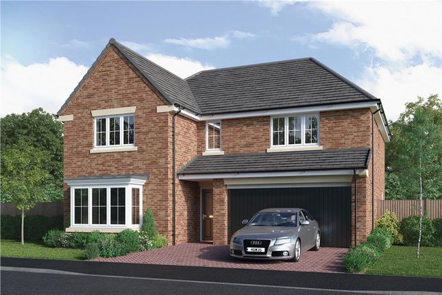 Thumbnail Detached house for sale in "The Thetford" at Mulberry Rise, Hartlepool