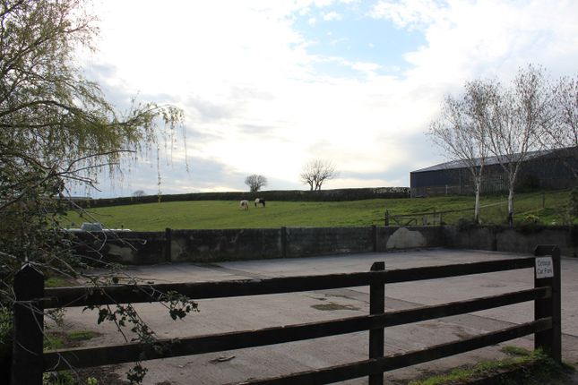 Barn conversion for sale in Wheeldon Farm, Halwell, Totnes