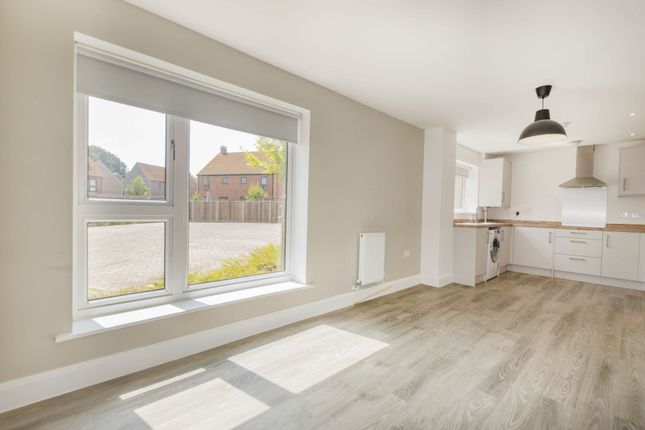 2, Calthorpe Drive, Norwich photo 4