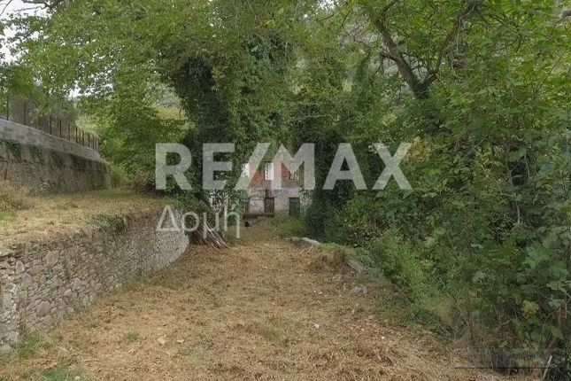 Land for sale in Ano Lechonia 373 00, Greece