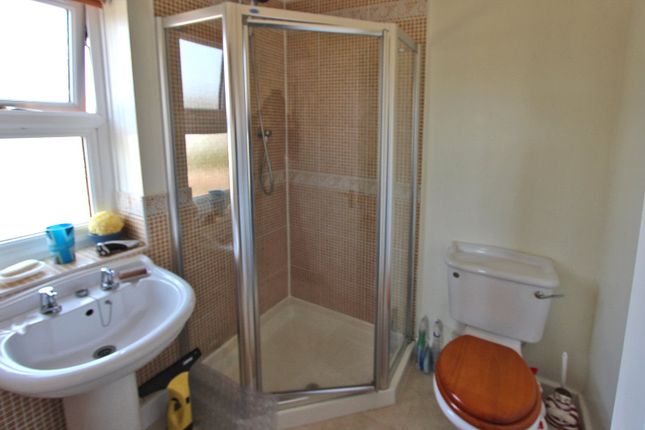 Picture 15