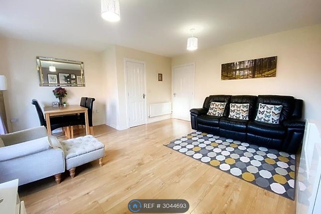 Howdon Green, Wallsend photo 3
