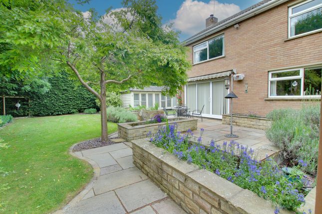 129, Knights End Road, March photo 4