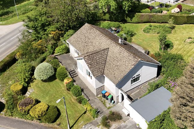 1, Maxwell Park, Dalbeattie photo 3